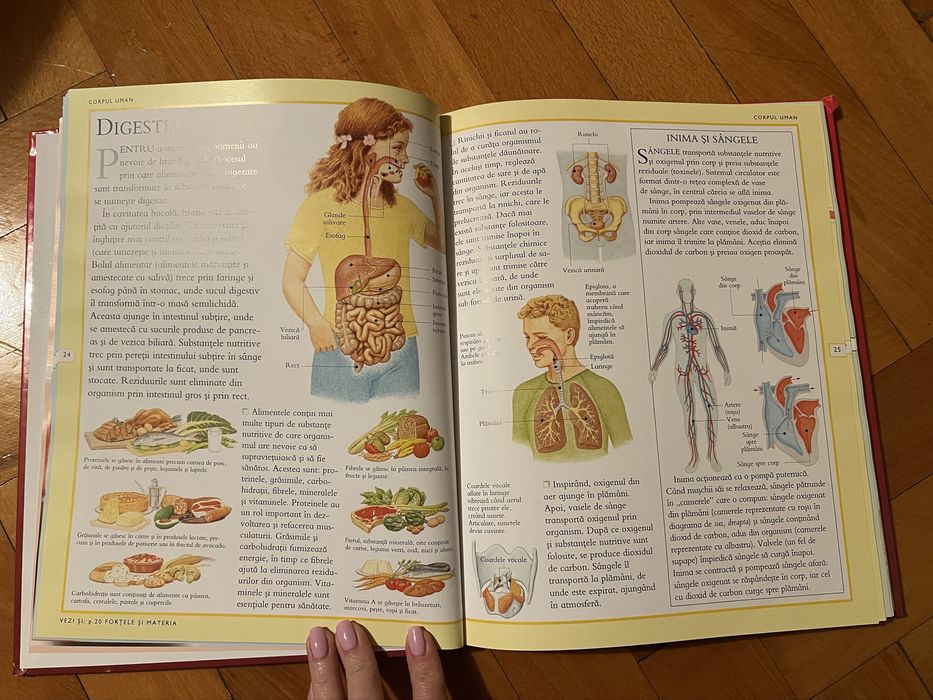 Enciclopedia Stiintelor pentru copii