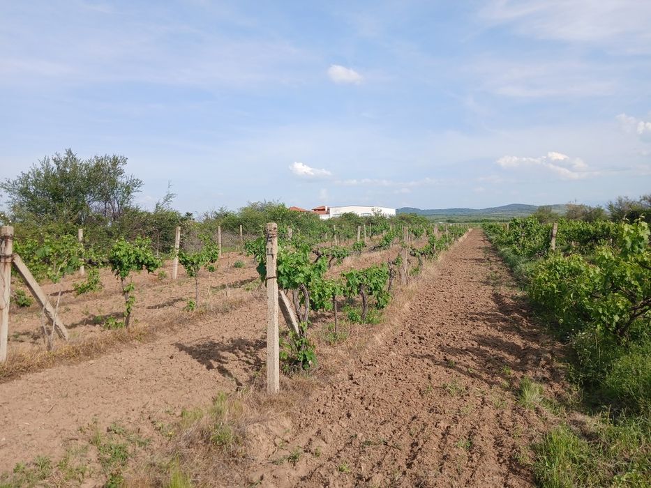 Продава се Земеделски имот в с. Карабунар, Област Пазарджик -  кв.м за 2 €/дка - Снимка #1