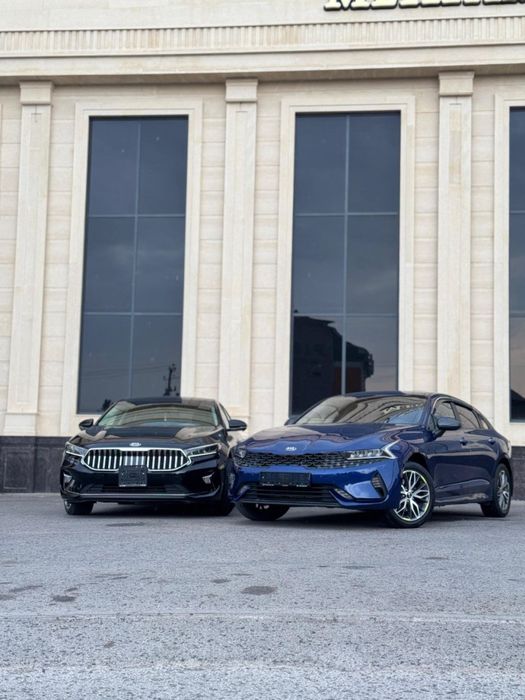 King car rent  авто прокат