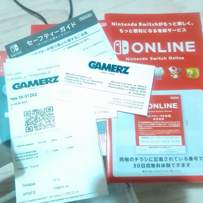 Nintendo switch lite