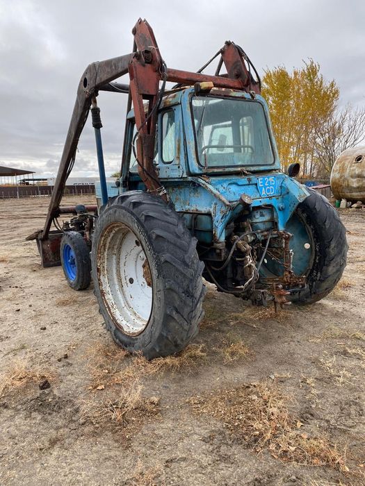 Үлкен қара есектермен және ит лесбияндарымен секс