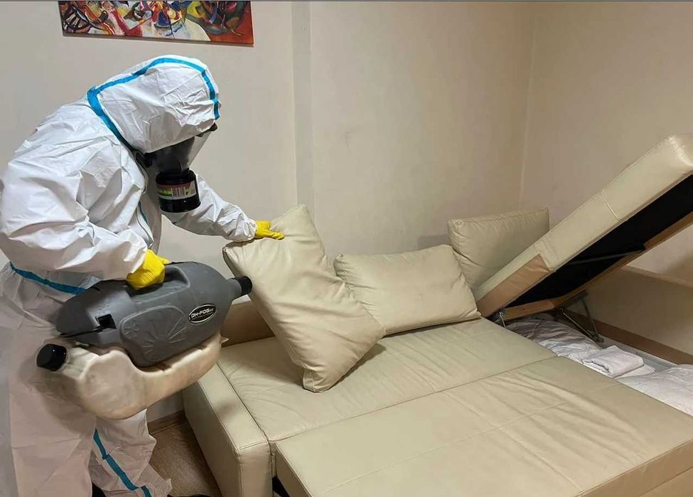 Дезинфекция от клопов дезинсекция dezinfeksiya dizinfeksiy klapa клоп