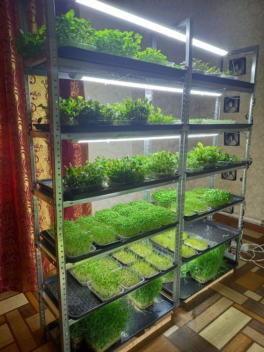 Продам стеллажи для выращивания микрозелени