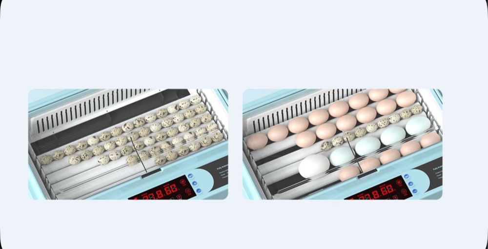 Автомат Инкубатор для яиц 12/24/36/64