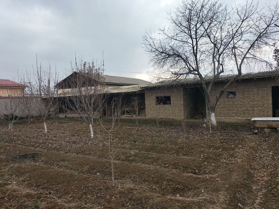 Продаётся дом в янгиюле