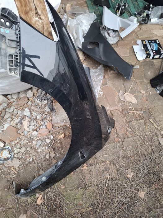 Монза радной крила