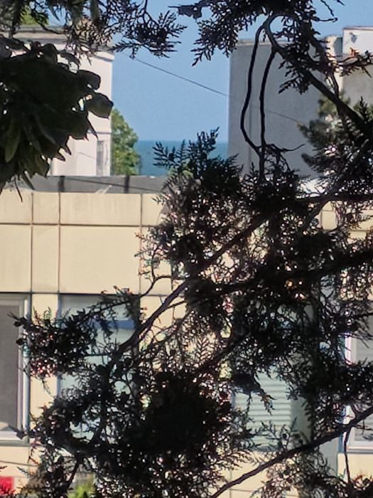 Apartament cazare două camere Mangalia