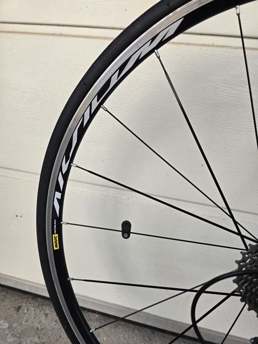Cursiera Carbon Giant Propel Advanced 2 L