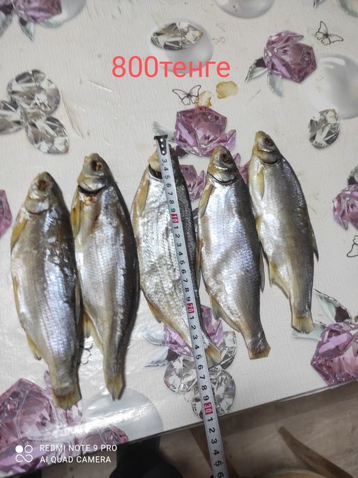 Продам вяленую рыбу