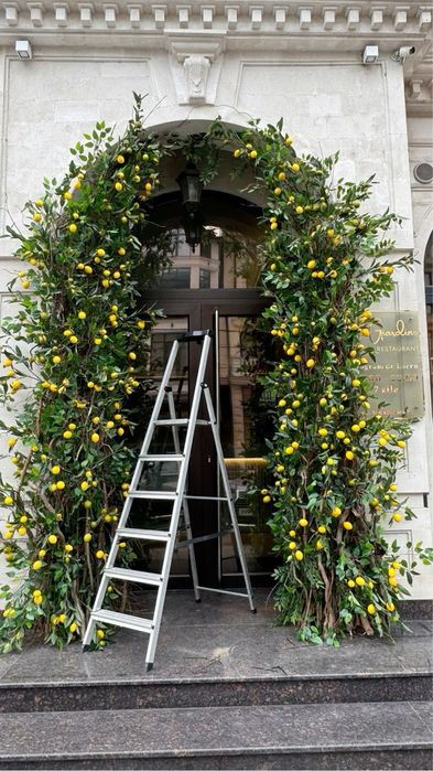 Декорации Оформление заведений