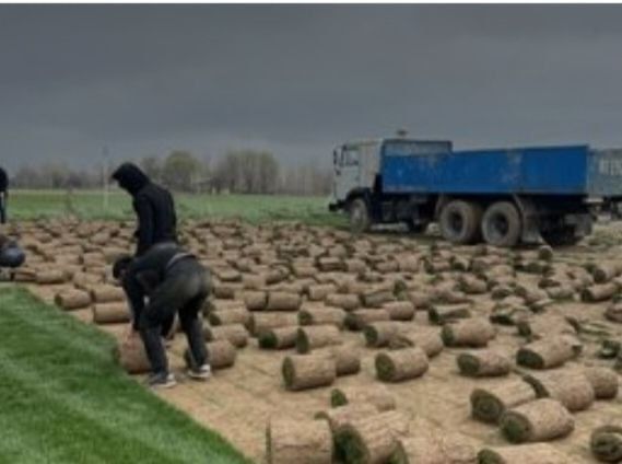ARCHA GAZON URUG’ Landshaft  O’zbeksiton boyicha xizmatlar mavjud