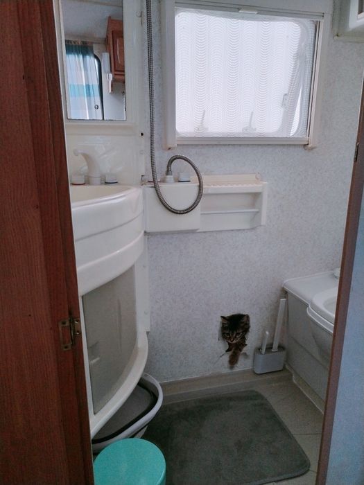 Vând rulotă Avondale MyFly cu toate dotările