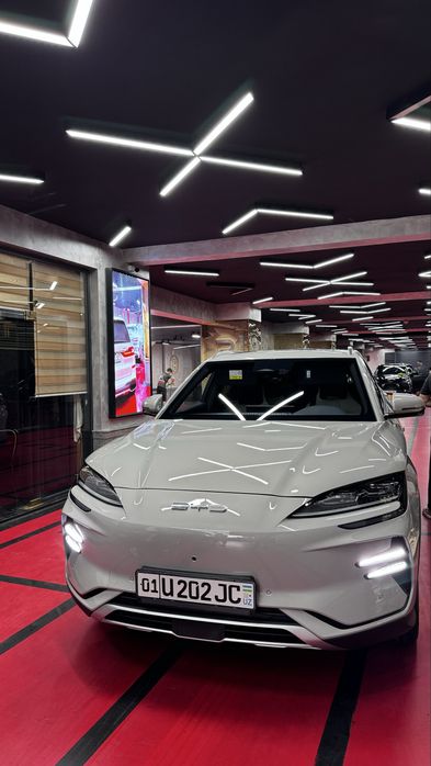 Byd Champion 605 full