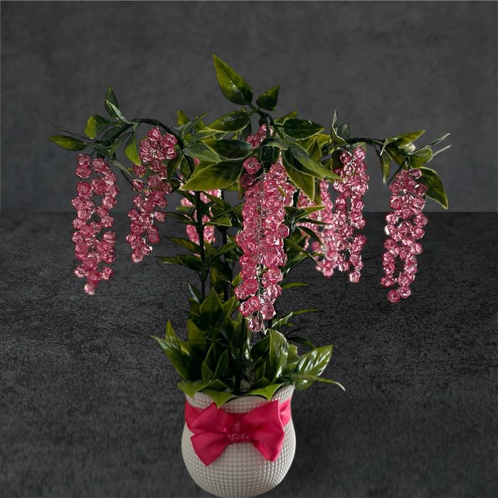 Ноёб мунчоғли гул