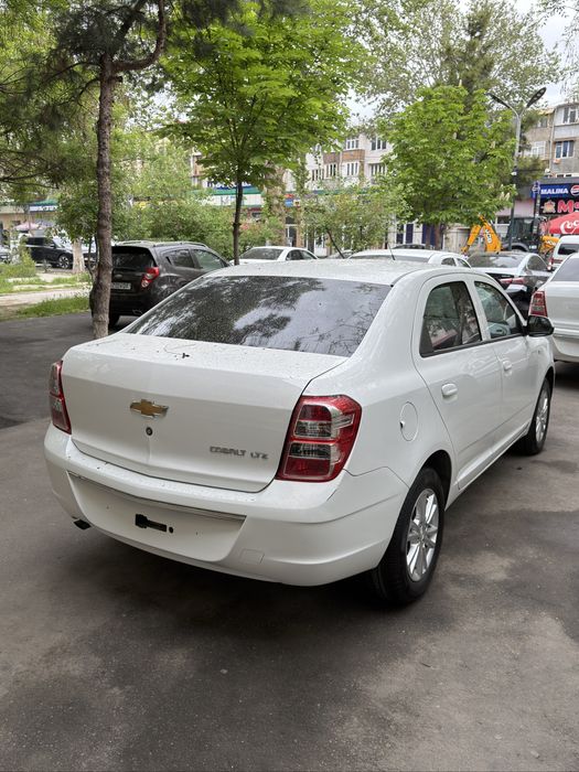 Cobalt LTZ Style 2024/2025