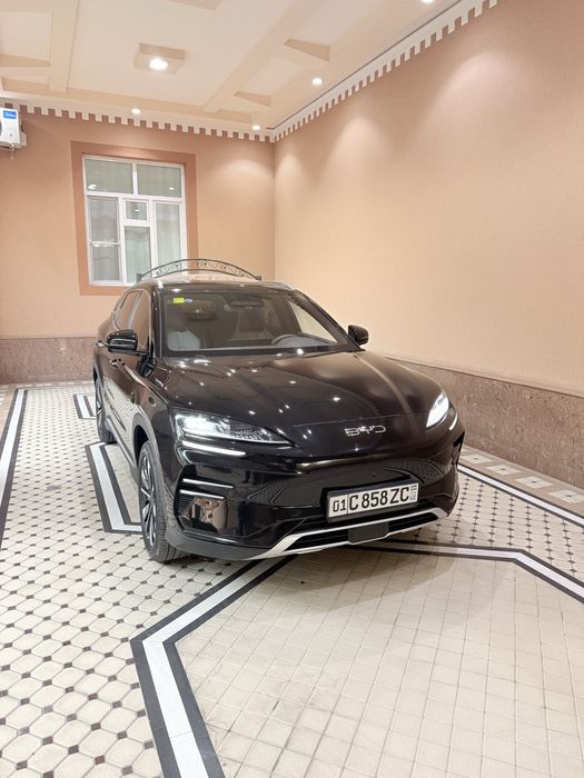 Byd Champion SMART
