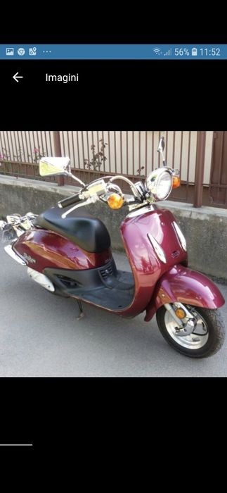 Honda Shadow (Joker) 49 cm (50 cm)