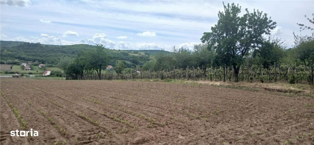 RECO Teren intravilan Hidiselul de Jos langa padure