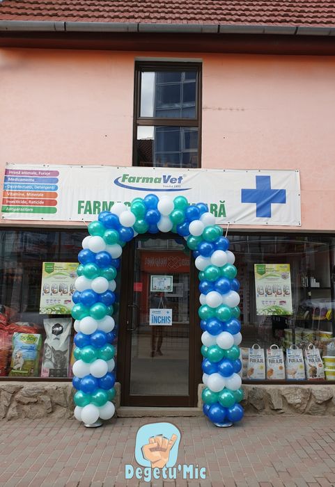 ARCADA Baloane si baloane cu Heliu deschidere magazine