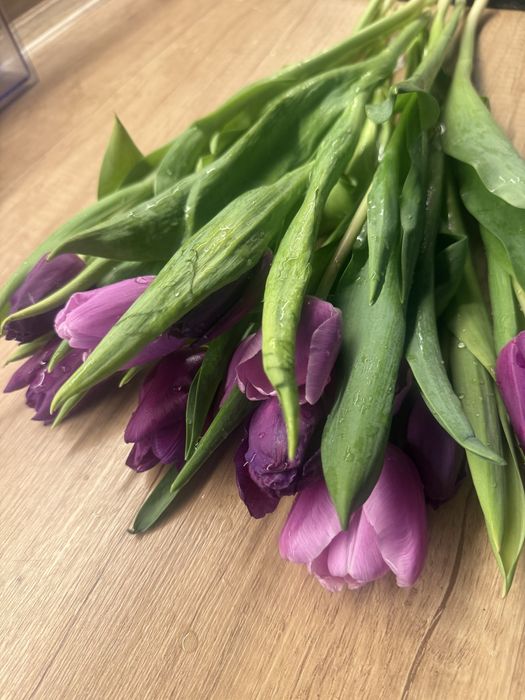 Продам тюльпаны очень красивые