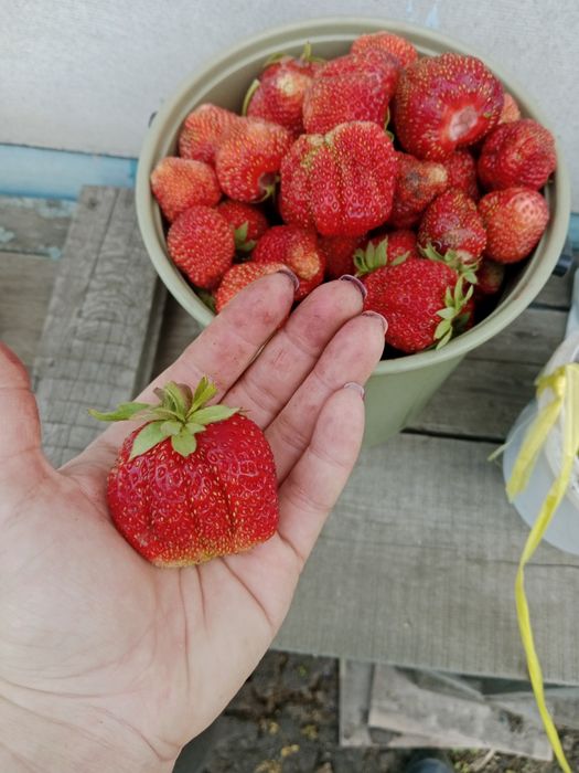 Продам дачу, с/о Эврика