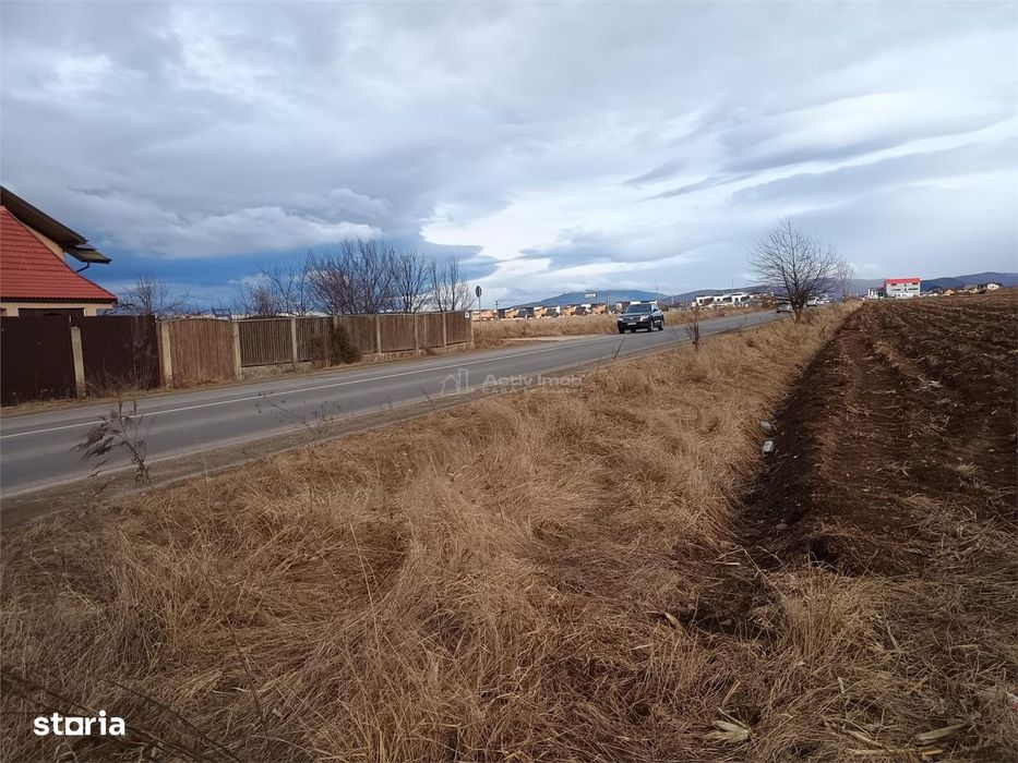 Teren 9000 mp Sacele Izvor, front 356 m la DJ 103A