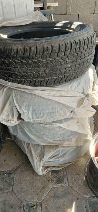 Резина Dunlop.     .