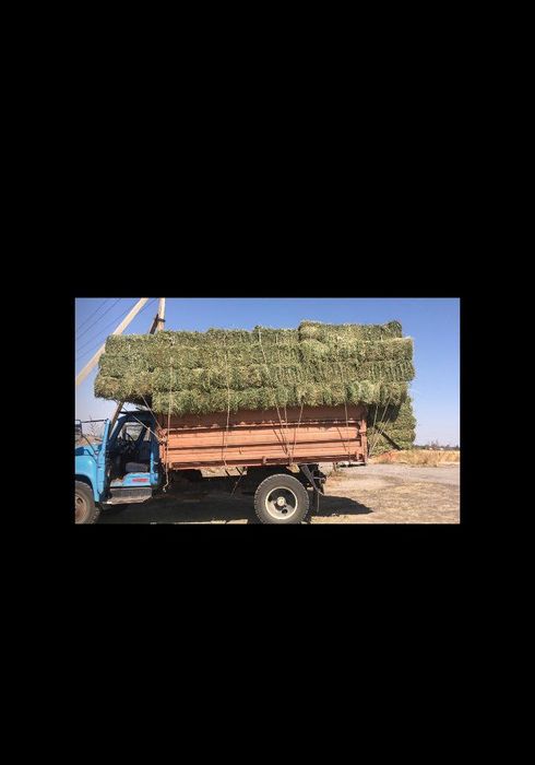 Газ53 продам цено договорим