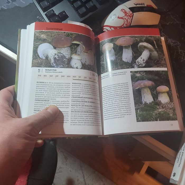 Продам новую книгу