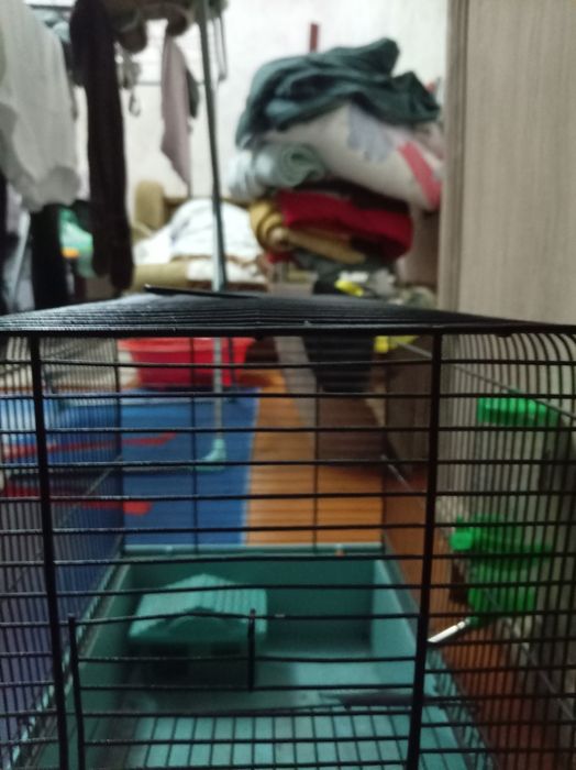 Клетка продам за денги