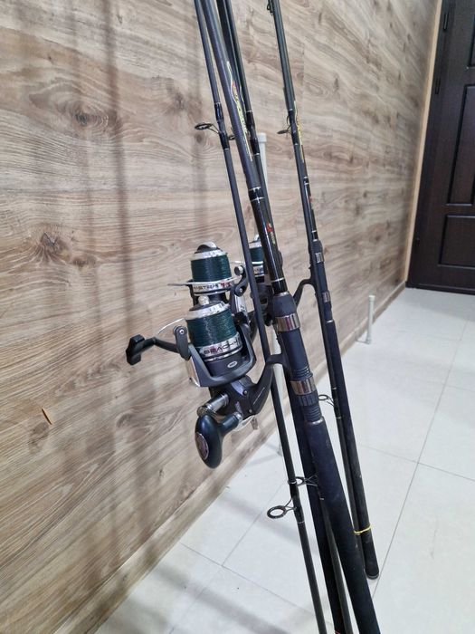 Шаранджиски карпове