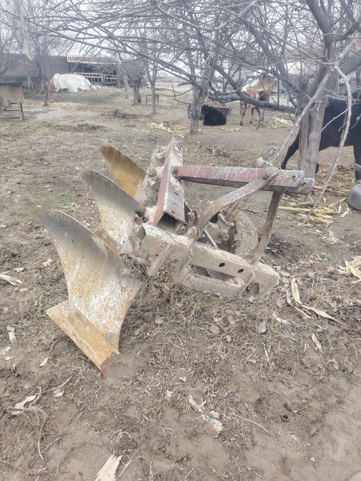 25 milyon Zakaz olamiz tayyori ham bor