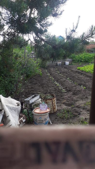 Дачный участок,  6.5 соток