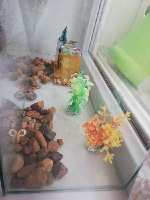 Аквариум продаётся