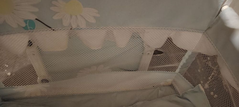 Bolalar uchun belanchak