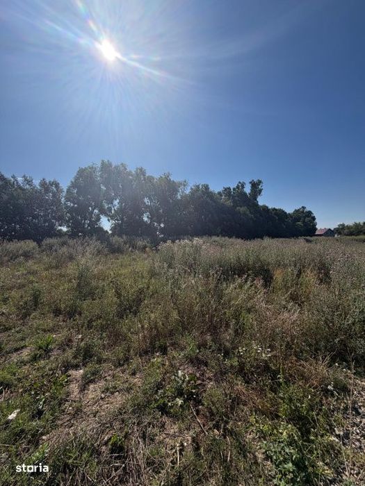 Teren 1750 mp, plus cota parte din drum , ideal  loc de casa , Radauti