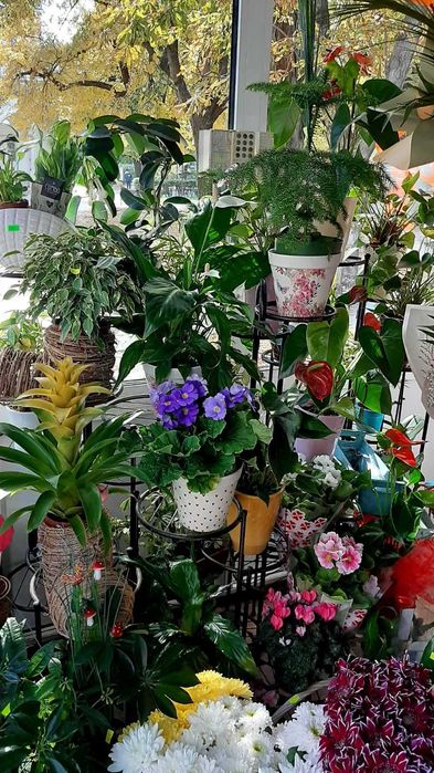 Дава се под наем Магазин в Варна, Център - 15 кв.м за 598.23 € - Снимка #4