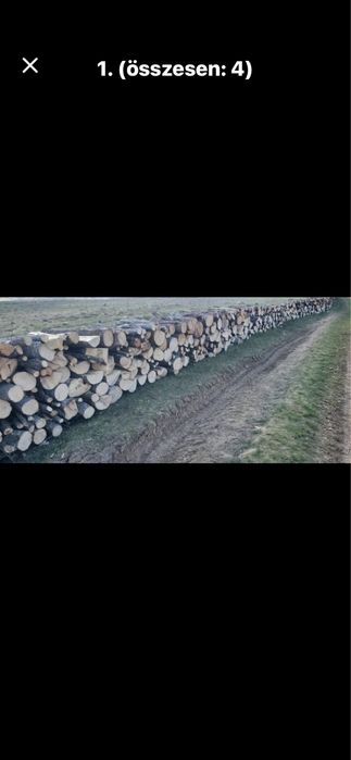 Lemne de foc carpen stejar