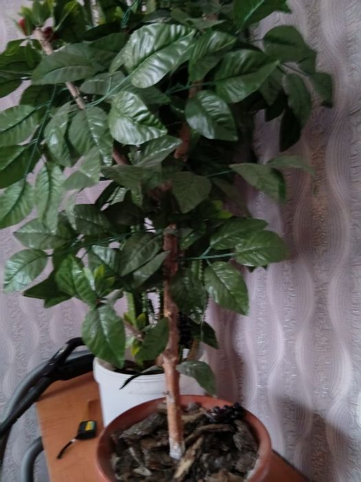 Продам искусственное дерево