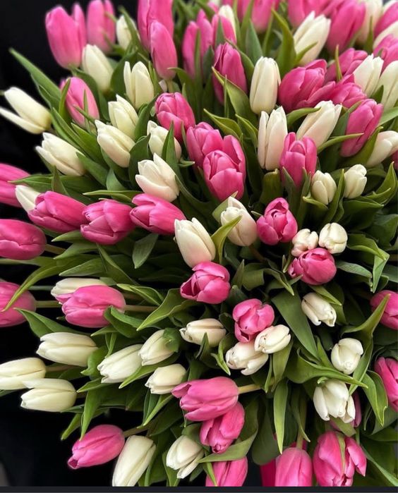 Тюльпаны букет цветов