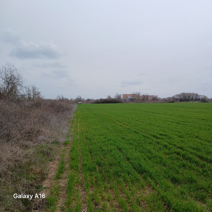 Имот 3612 кв.м до производствена зона Агробиохим