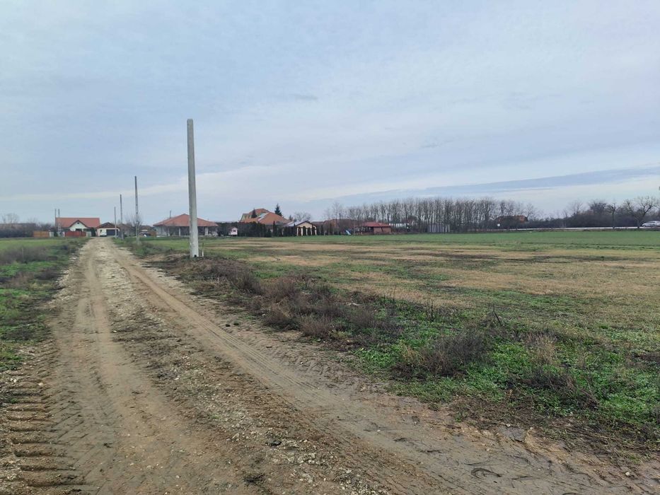 Teren intravilan Salonta, parcele pentru case