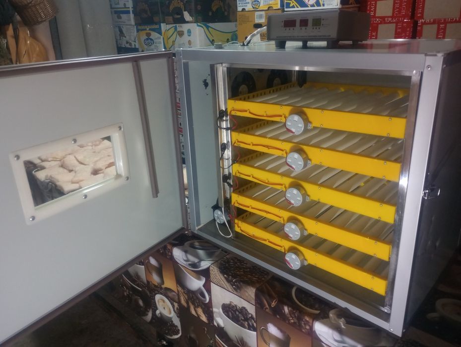 Clocitoare 300  ouă