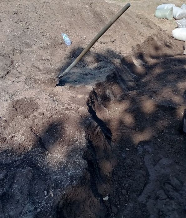 Biogumus va kaliforniya qizil chuvalchangi 100% kafolat