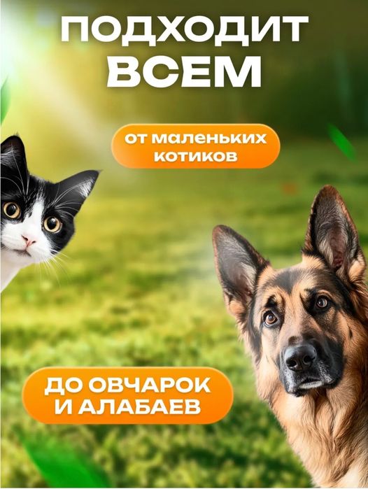 Бутылка питьевая для собак и кошек
