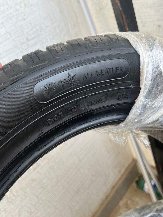 Petlass(Lassa) multi action All seasons  17R