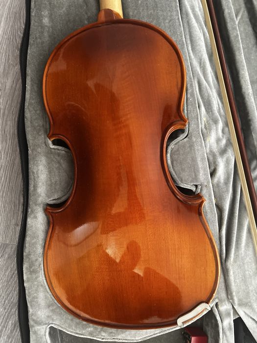 Vioara arcus si toc