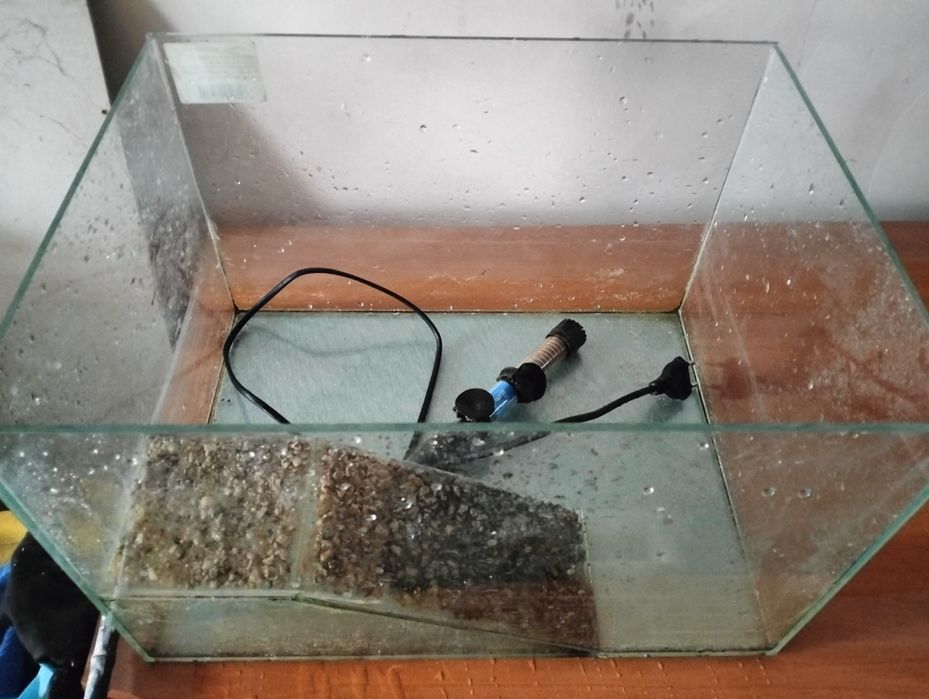 Acvariu și încălzitor