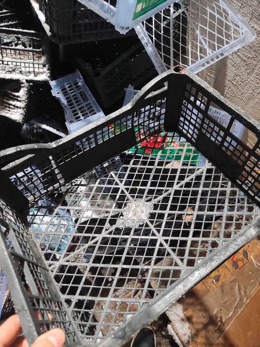 Пластиковые корзины