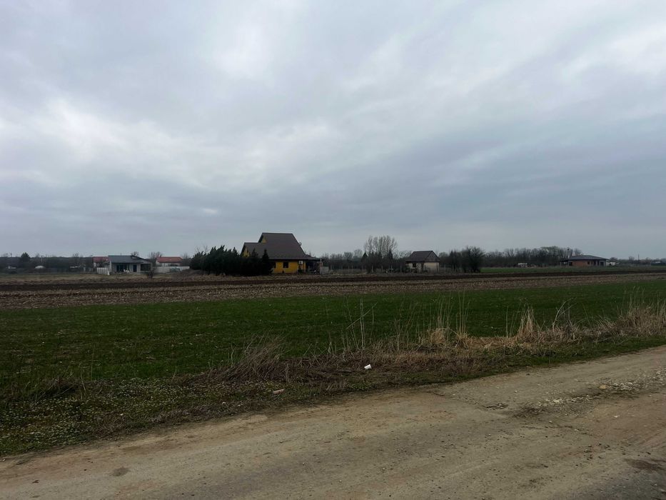 Teren Teghes, strada Caminului